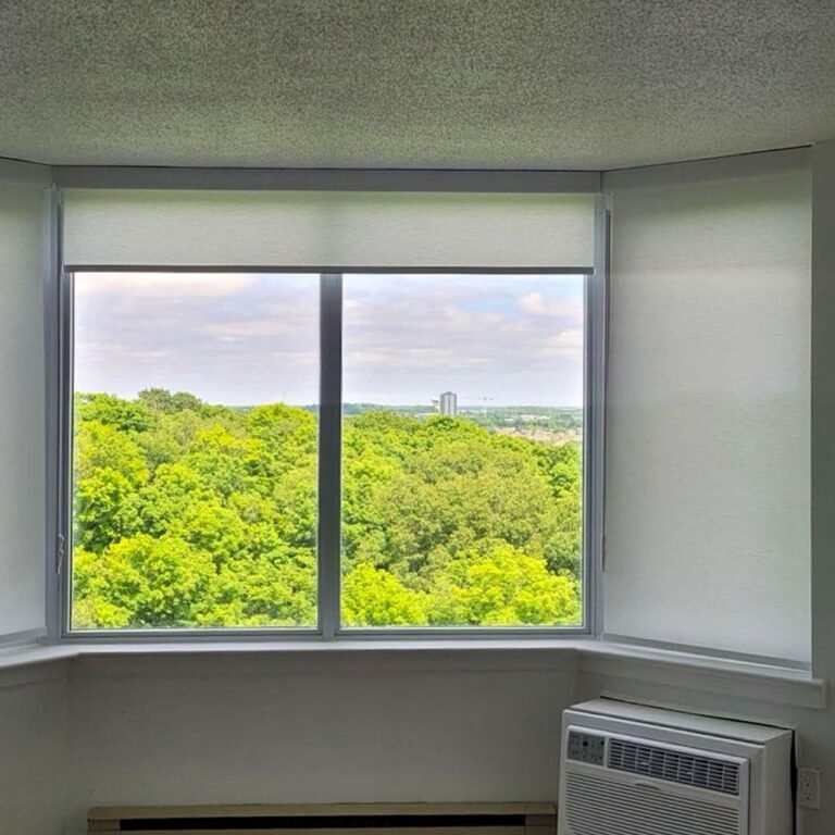 Roller shade raised on a window with a treetop view