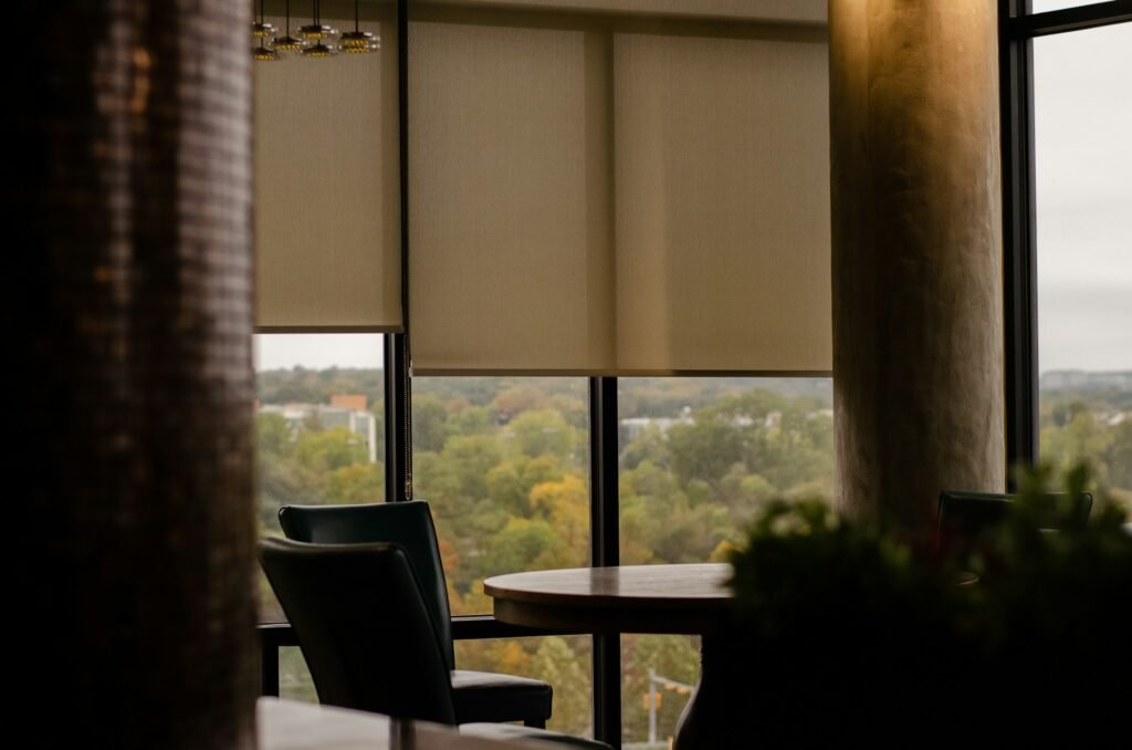 Roller shades softening the view in a dining area