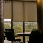 Roller shades softening the view in a dining area