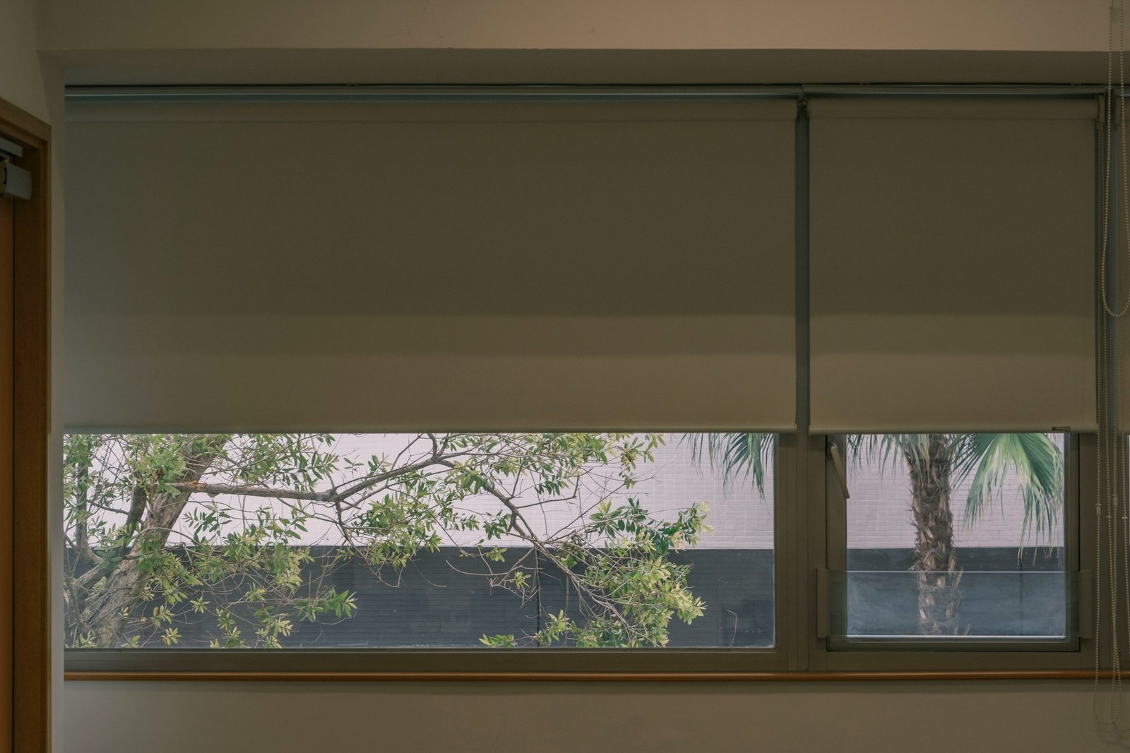 Roller Shades