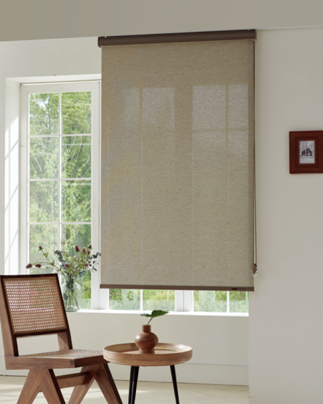 Sky light-filtering roller shade beside an armchair