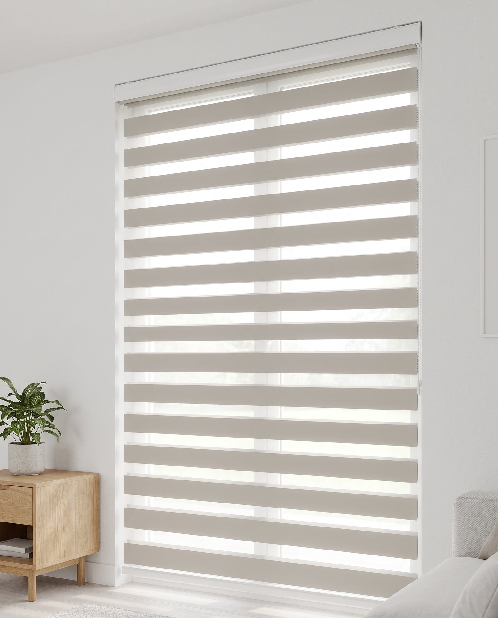 Zebra Blinds